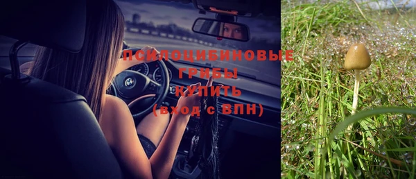 метадон Арсеньев