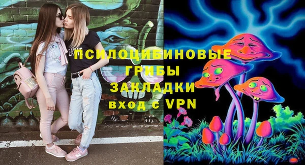 МДПВ Алзамай