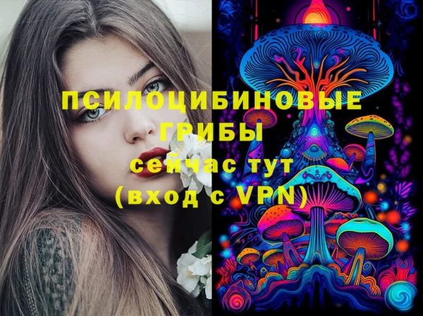 a pvp Армянск
