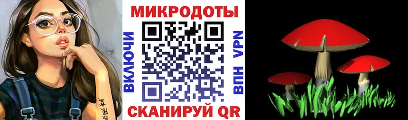 Псилоцибиновые грибы Psilocybine cubensis  Шатура 